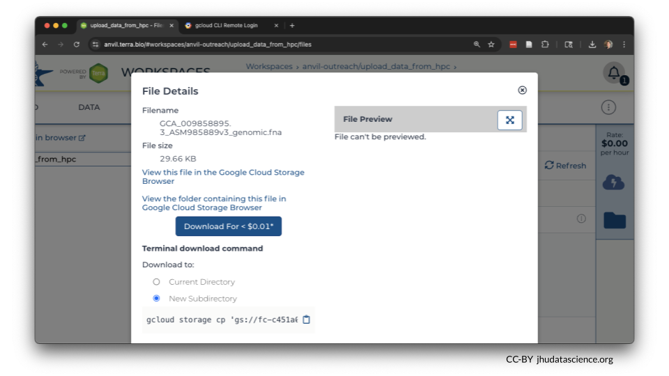 Image shows a screenshot of the details of the files we successfully transferred.