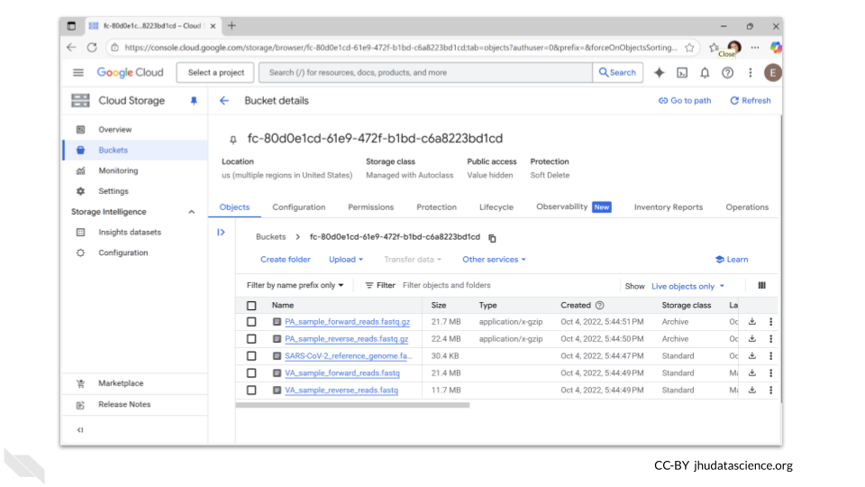 Image shows the contents of a Google bucket used in the SARS-CoV-2 on Galaxy activity.