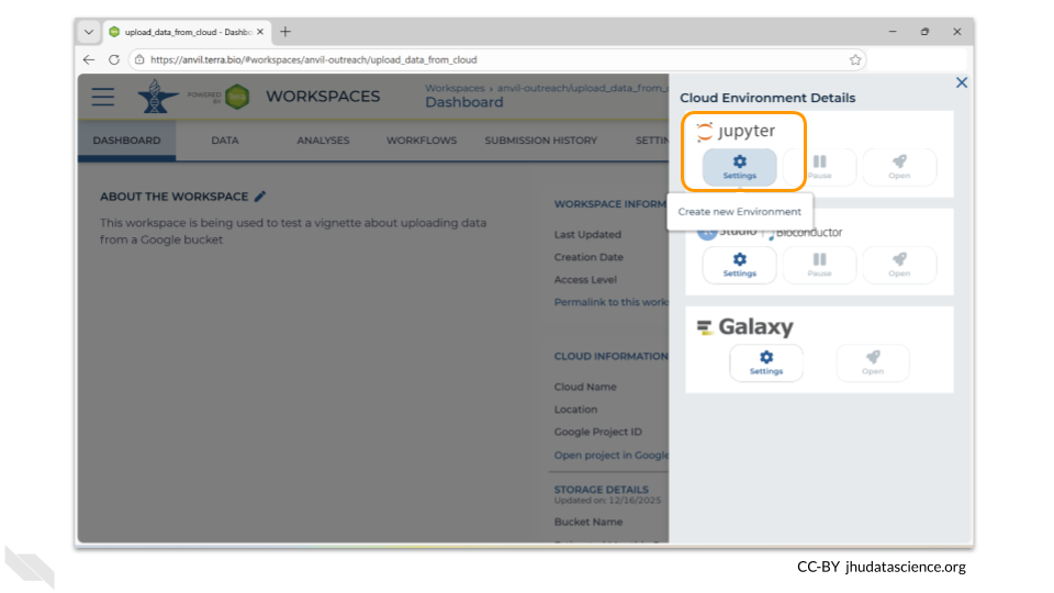 To provision a Jupyter environment, click on the settings button under the Jupyter logo.