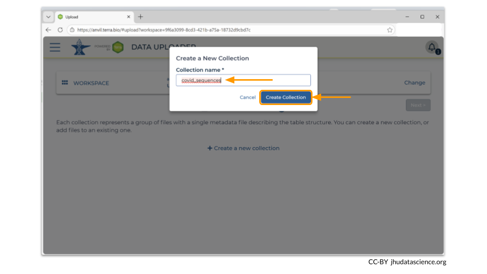 Each collection should have a unique and descriptive name that easily describes the samples within it. Here we have chosen to use covid_sequences, since we are uploading FASTA files of covid spike protein sequences.
