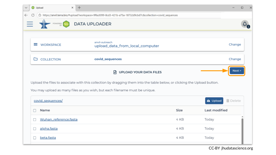 Before you move on to uploading your metadata file, you should always verify that you have uploaded all the samples. Once you have done this, choose Next.