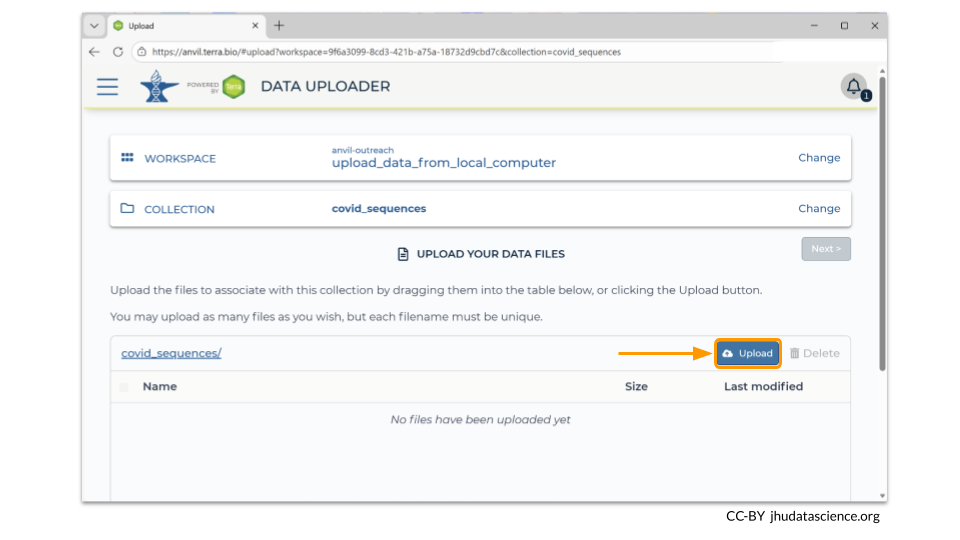 Once you have created a new collection, you can upload your samples using the pop-up menu by clicking upload.