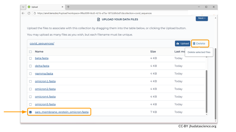 You can always remove files from your collection using the Data Uploader. We accidentally uploaded a file that we don’t need. In order to delete this file, check the box next to its name and choose Delete.
