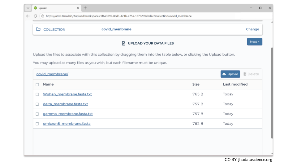 After you have created a new data collection, you can add your new files (and metadata). In this example, we loaded four additional FASTA files that contain sequences of a COVID-19 membrane protein gene.