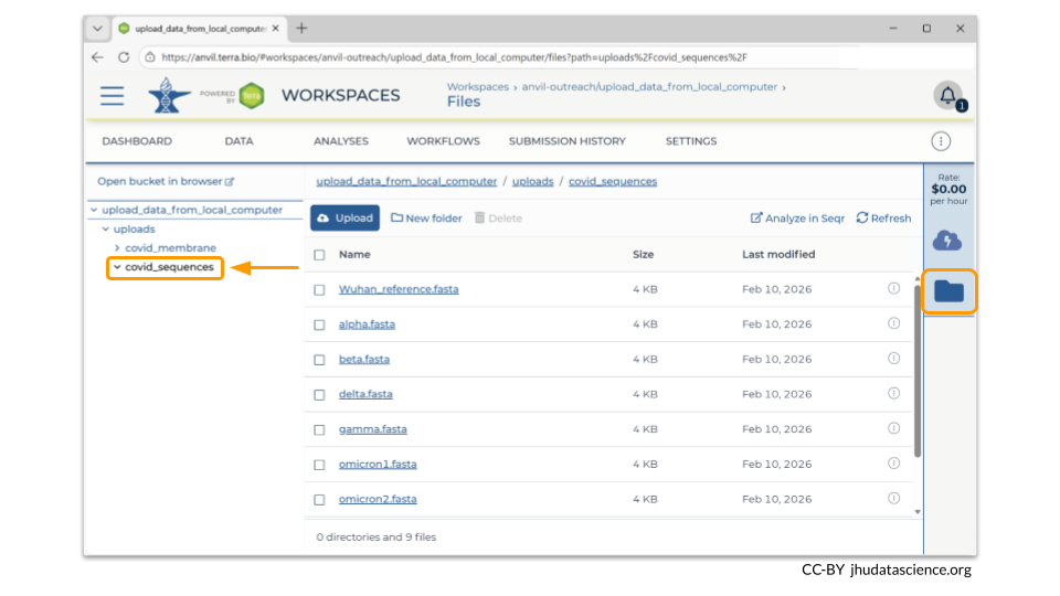 Image shows a screenshot of the workspace Data tab. The Files directory and link on the bottom left is highlighted. This image shows the collection called covid_sequences.