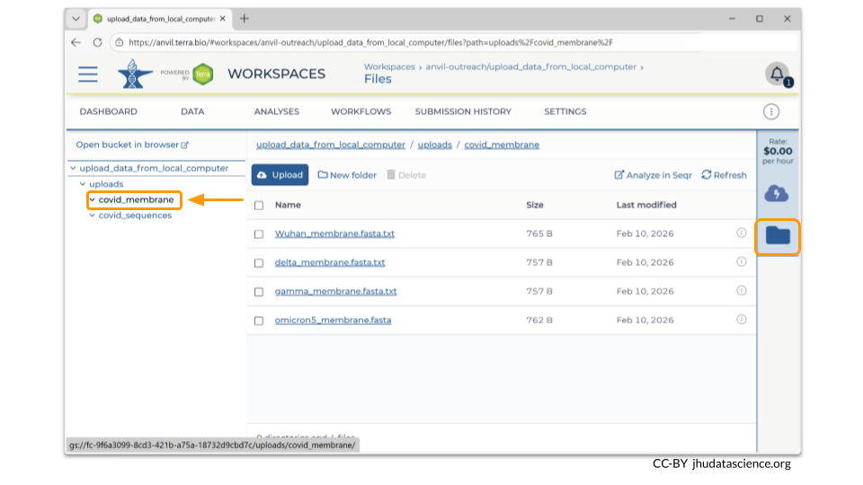 Image shows a screenshot of the workspace Data tab. The Files directory and link on the bottom left is highlighted. This image shows the collection called covid_membrane.