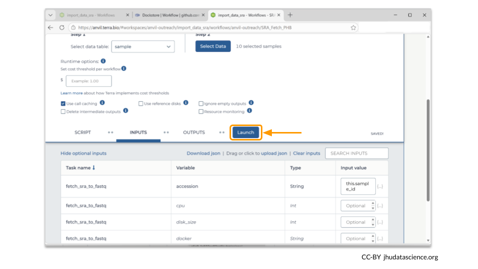 Click the Launch button to start the workflow.