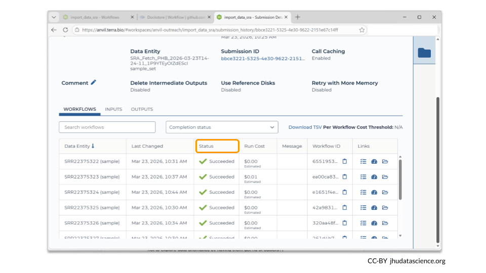 You can see status updates about each individual run.