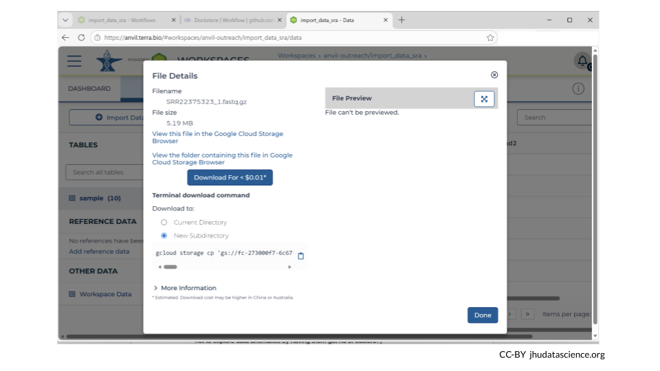 Clicking the sample file name opens a pop-up window with details about the file, including the file size.