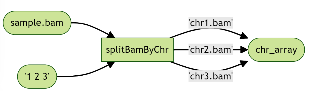 Split By Chromosome