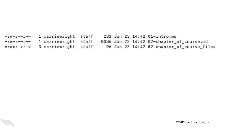 File permission example showing that there are 10-11 letters listed before other file information.