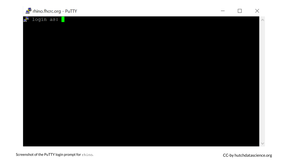The login prompt for rhino.