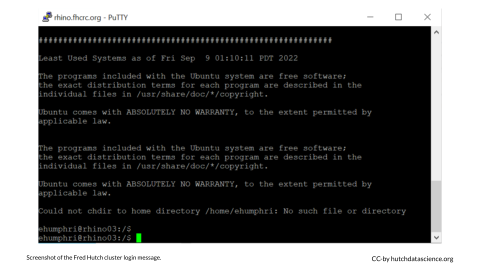 Screenshot of the PuTTY Terminal.