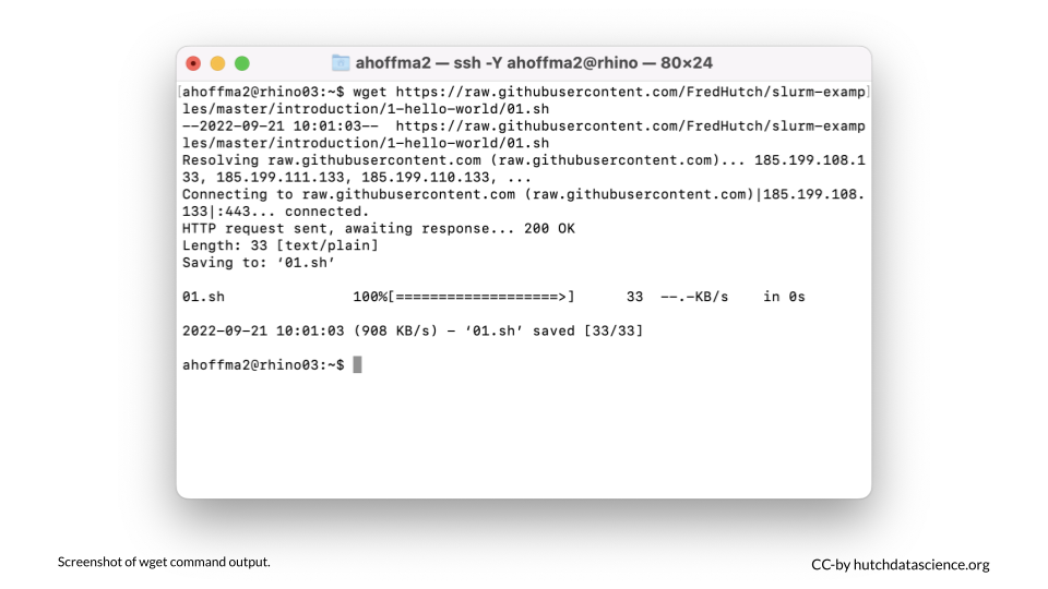 Screenshot of wget command output, showing successful file download.