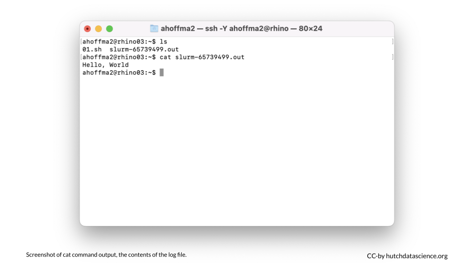 Screenshot of ls and cat command shows that the Hello World message has successfully printed.