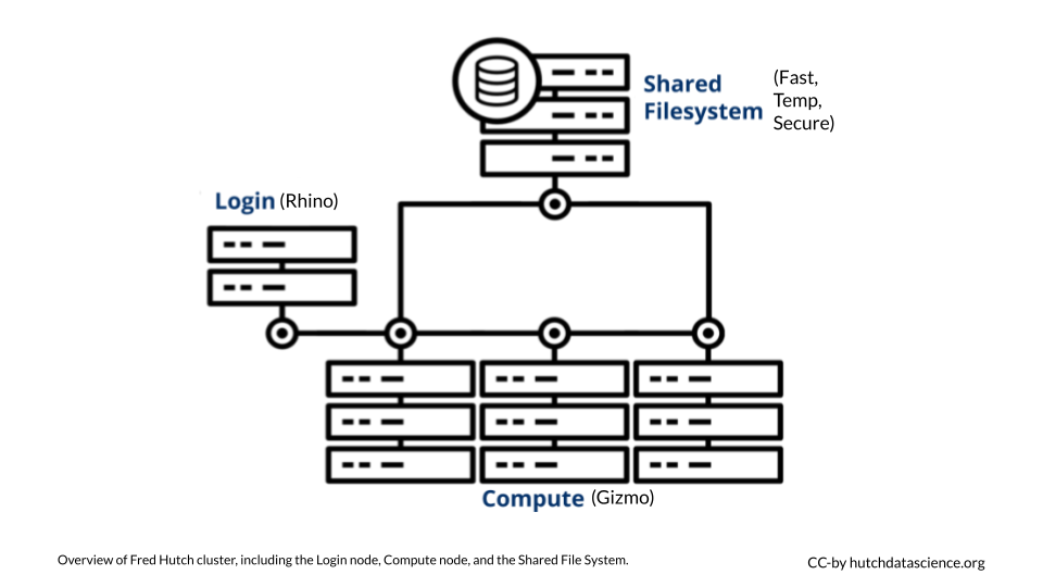 Compute node diagram.