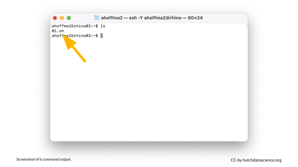 Screenshot of ls command showing that the file is in the working directory.
