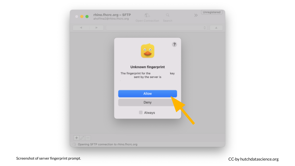 You can select allow when Cyberduck asks about an Unknown Fingerprint.