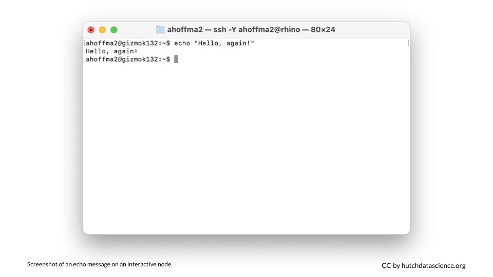 An echo message is printed on an interactive node.