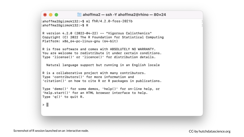 The R module and R session have been launched on the interactive node.