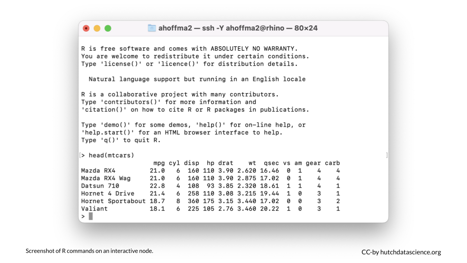 R commands on an interactive node.