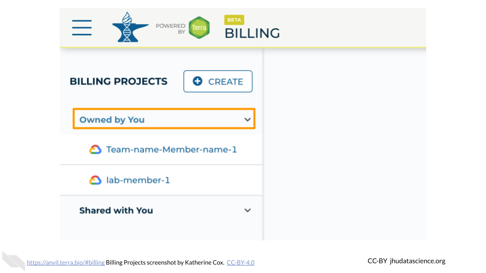 Screenshot of the Terra Billing Projects menu.  The submenu "Owned by you" is highlighted and has been expanded, showing a list of Billing Projects below.