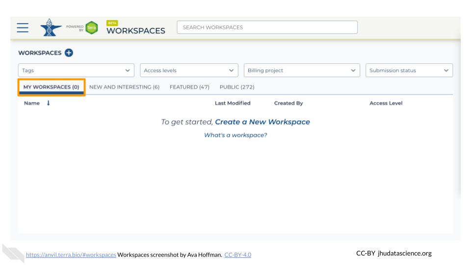 Screenshot of Terra 'MY WORKSPACES' menu. The 'MY WORKSPACES' tab is highlighted. No Workspaces are visible because none have been shared with the user. There is an option to create a new Workspace.