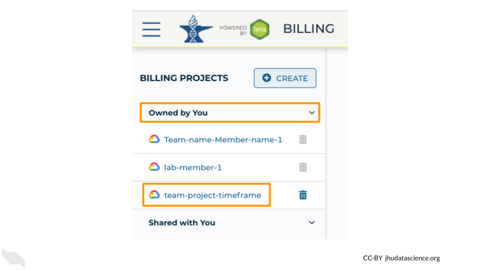 Screenshot of the Terra Billing Projects menu.  The submenu "Owned by you" is highlighted and has been expanded, showing a list of Billing Projects below.  One of the Billing Project names is highlighted.