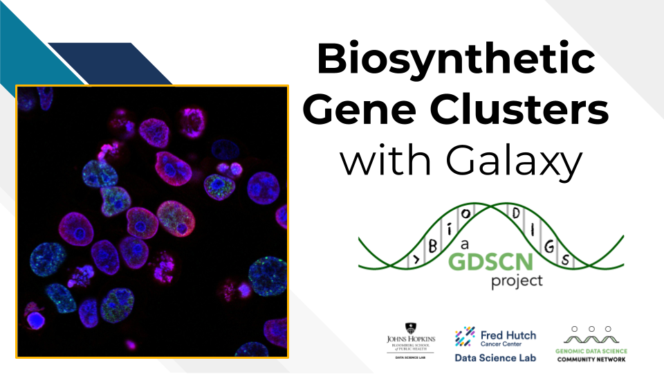 Landing page for the Biosynthetic Gene Cluster Activity.