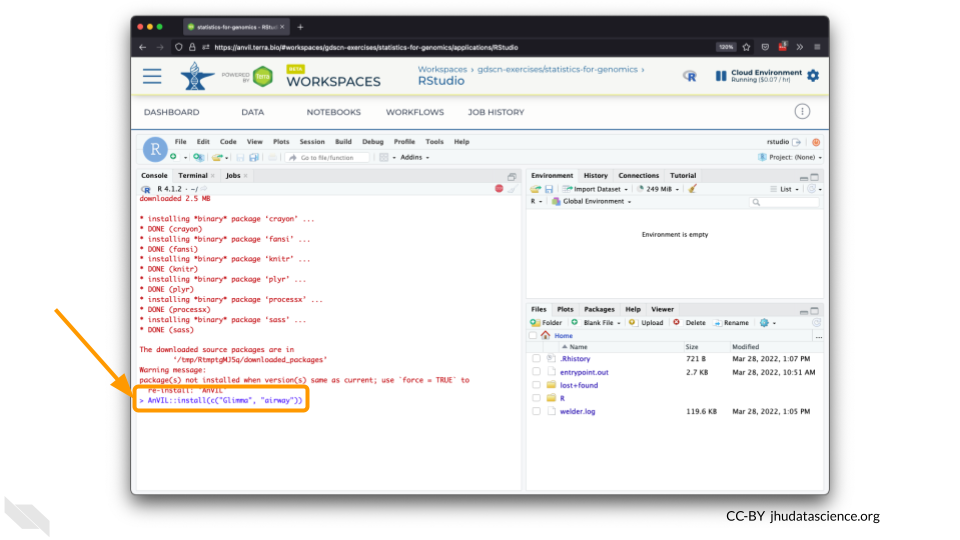 Screenshot of the RStudio environment interface. Code has been typed in the console and is highlighted.