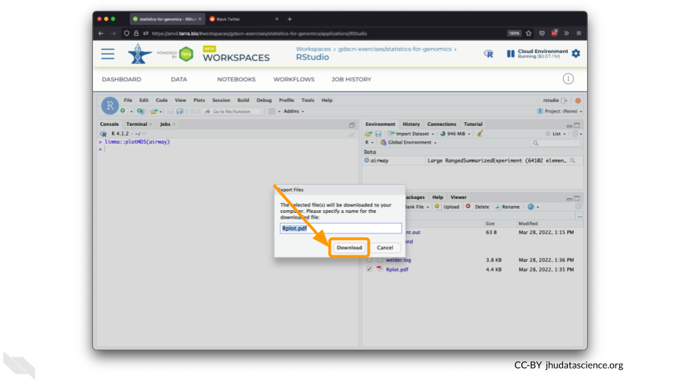 Screenshot of the RStudio interface. The popup to download the selected file has been highlighted,