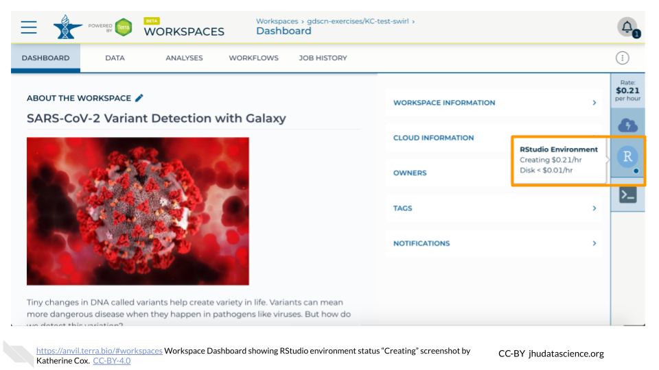Screenshot of a Terra Workspace. The hovertext for the RStudio icon is highlighted, and indicates that the status of the environment is "Creating".