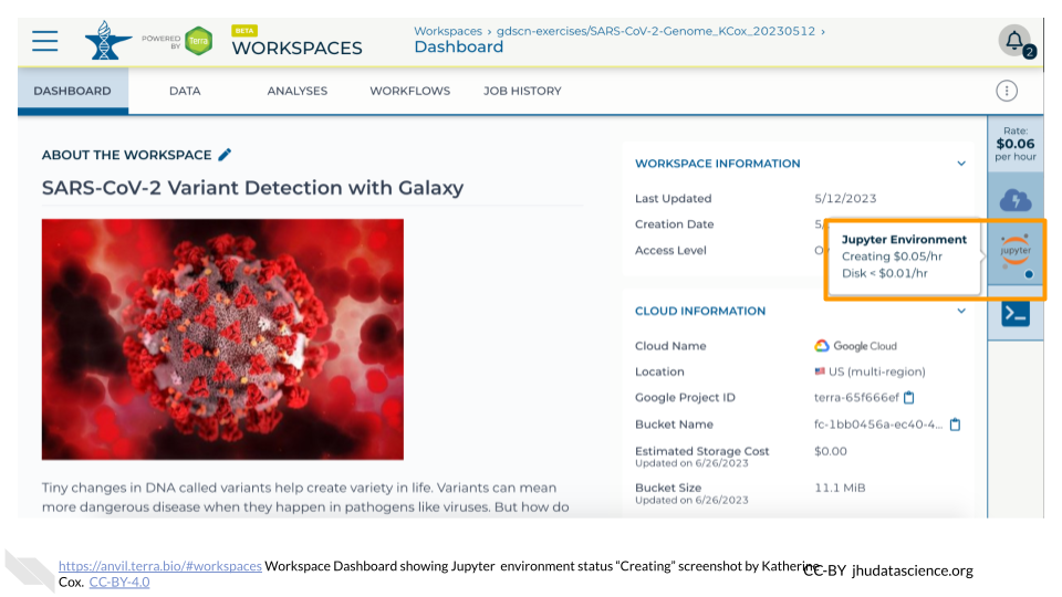 Screenshot of a Terra Workspace. The hovertext for the Jupyter icon is highlighted, and indicates that the status of the environment is "Creating".