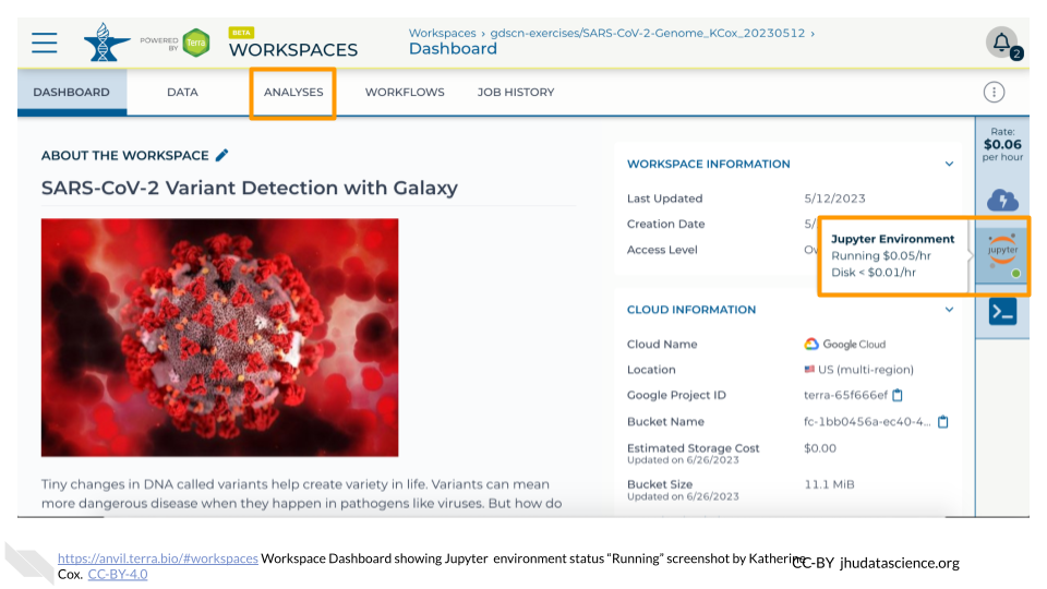 Screenshot of a Terra Workspace. The hovertext for the Jupyter icon is highlighted, and indicates that the status of the environment is "Running".  The ANALYSES tab is also highlighted