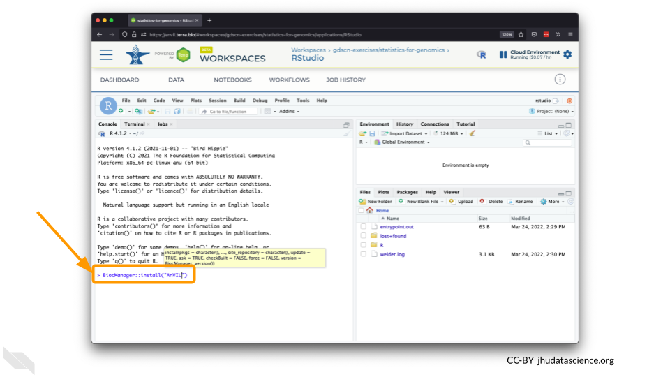 Screenshot of the RStudio environment interface. Code has been typed in the console and is highlighted.