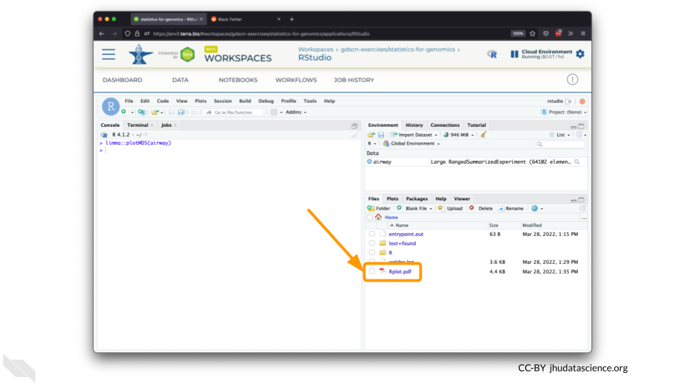 Screenshot of the RStudio interface. A plot has been created. The saved pdf file is now visible under the "Files" pane.