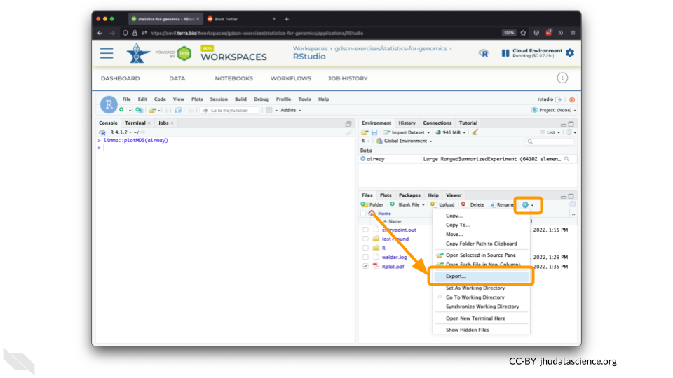 Screenshot of the RStudio interface. A plot has been created. The saved pdf file is now visible under the "Files" pane. The "More" and "Export" menus have been highlighted.