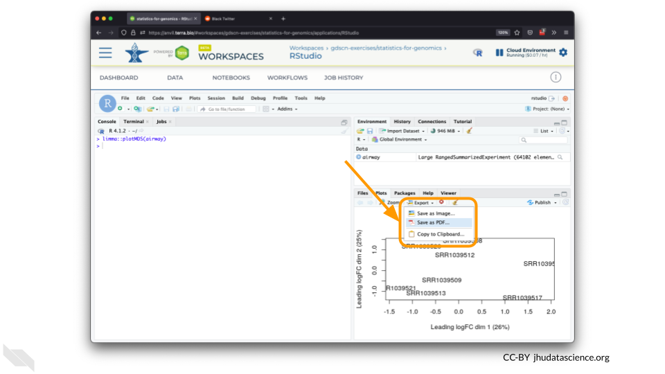 Screenshot of the RStudio interface. A plot has been created. The Export menu has been highlighted.