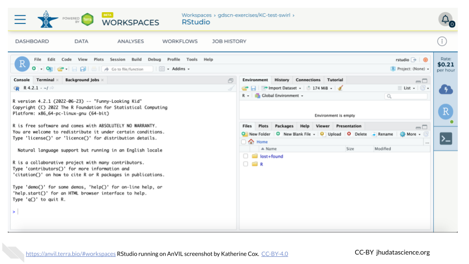 Screenshot of the RStudio environment interface.