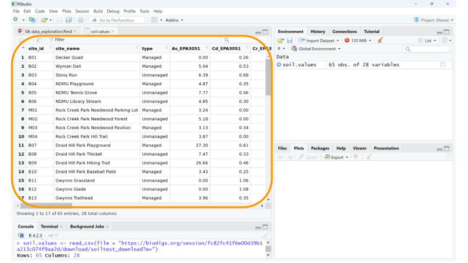 You can click on the object in the Environment tab to open a new window that allows you to scroll through the loaded dataset