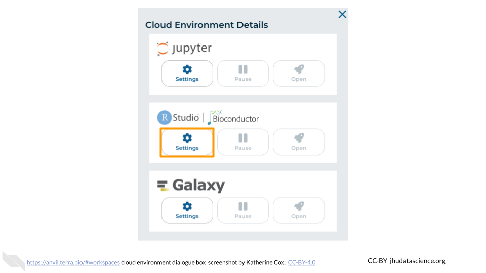 Screenshot of the Cloud Environment Details dialogue box. The Settings button under RStudio is highlighted.