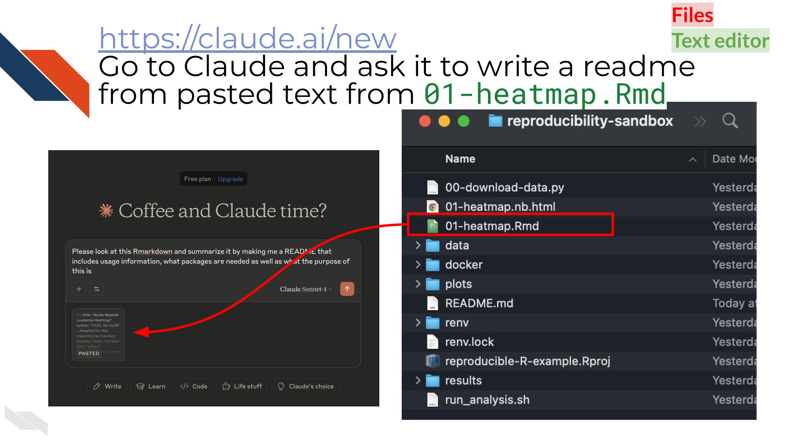 image of copying the contents of the 01-heatmap.Rmd file and pasting in Claude to ask for a README file