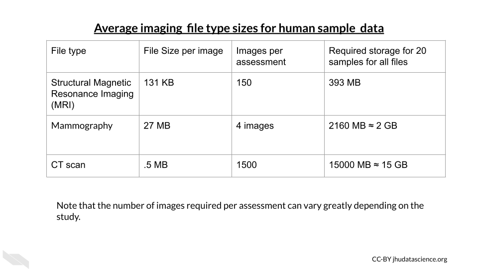 Example table of overall file storage needs for samples in imaging studies.