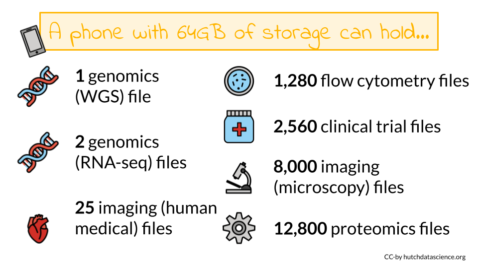 A cell phone with 64GB of storage can fit 1 WGS file, 2 RNA-seq files, 25 imaging files, and thousands of flow cytometry, clinical trial, microscopy, and proteomics files.