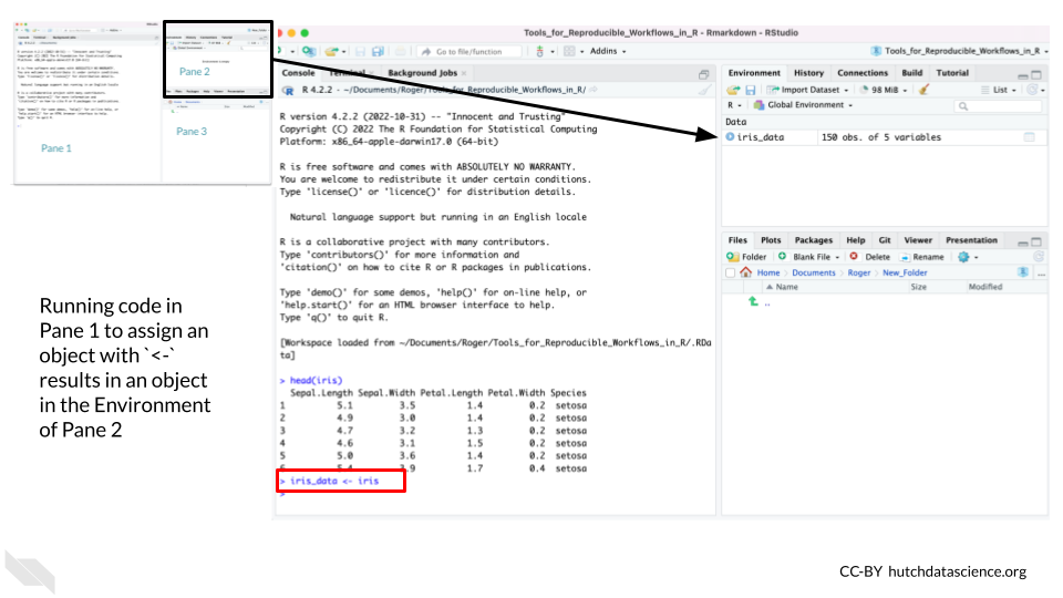 If you create an object in RStudio, it will show up in the environment pane.