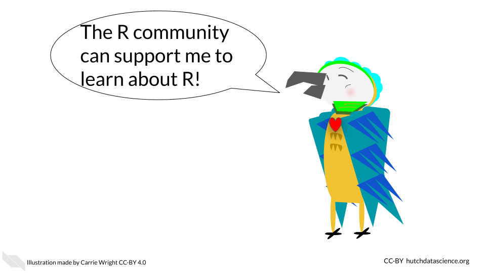 Cartoon of parrot saying: The R community can support me to learn about R
