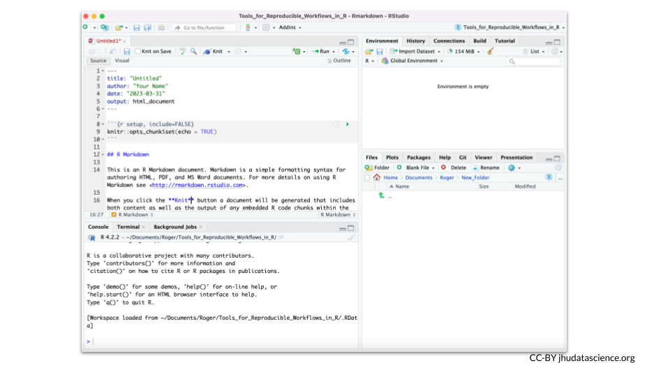 Example of how RStudio looks when you open a new R Markdown file. 