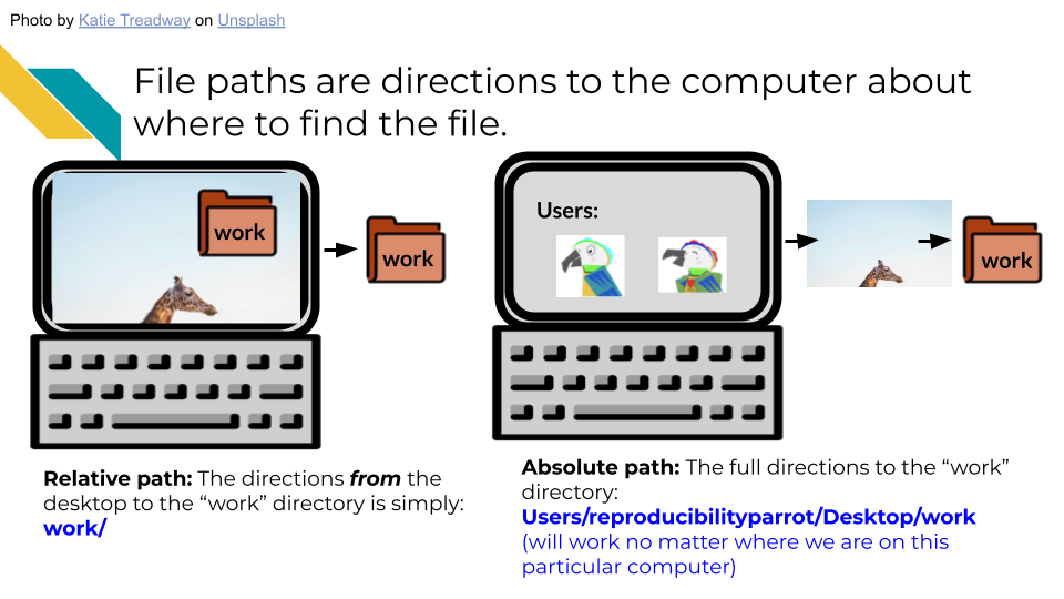 Relative path on a computer might be from the desktop to a file in a directory called work and would simply be work/file.txt, while an absolute path would be the full path to the directory you might want to work with such as Users/reproducibilityparrot/desktop/work/file.txt