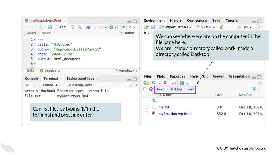 We can use the terminal tab to see our files or the files pane tab. We can list files in the Terminal tab with the command ls. We can also navigate around within the file pane to see files.