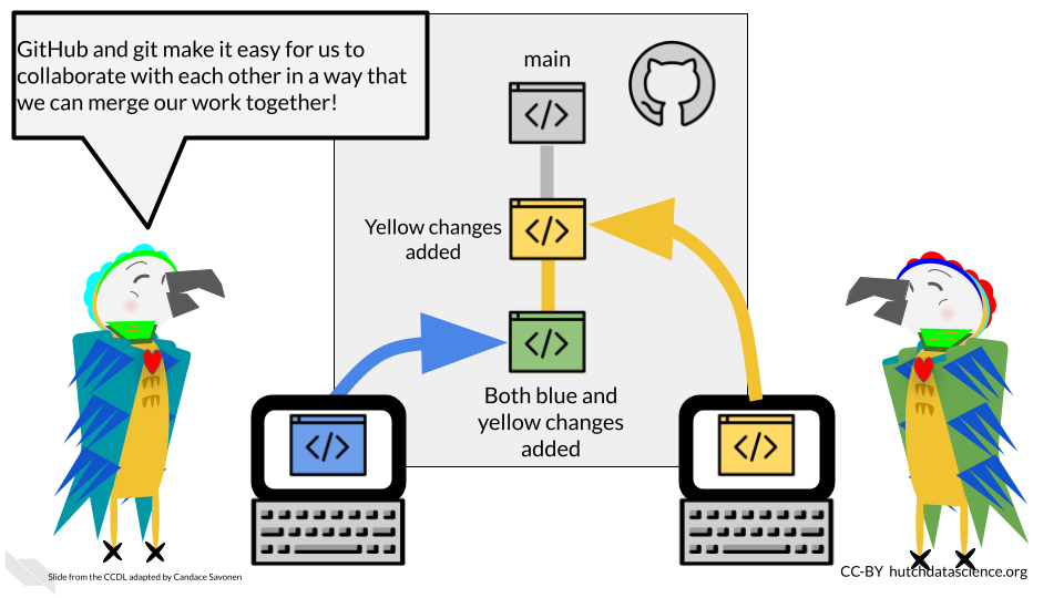 Github and git allow you to collaborate with others on the same files in a way that has a system for merging all the work together. In this diagram it shows how one set of changes labeled in yellow can be merged in with another set of changes labeled in blue. Reproducible parrot is happy and says ‘GitHub and git make it easy for us to collaborate with each other in a way that we can merge our work together!’ His parrot collaborator is also happy.